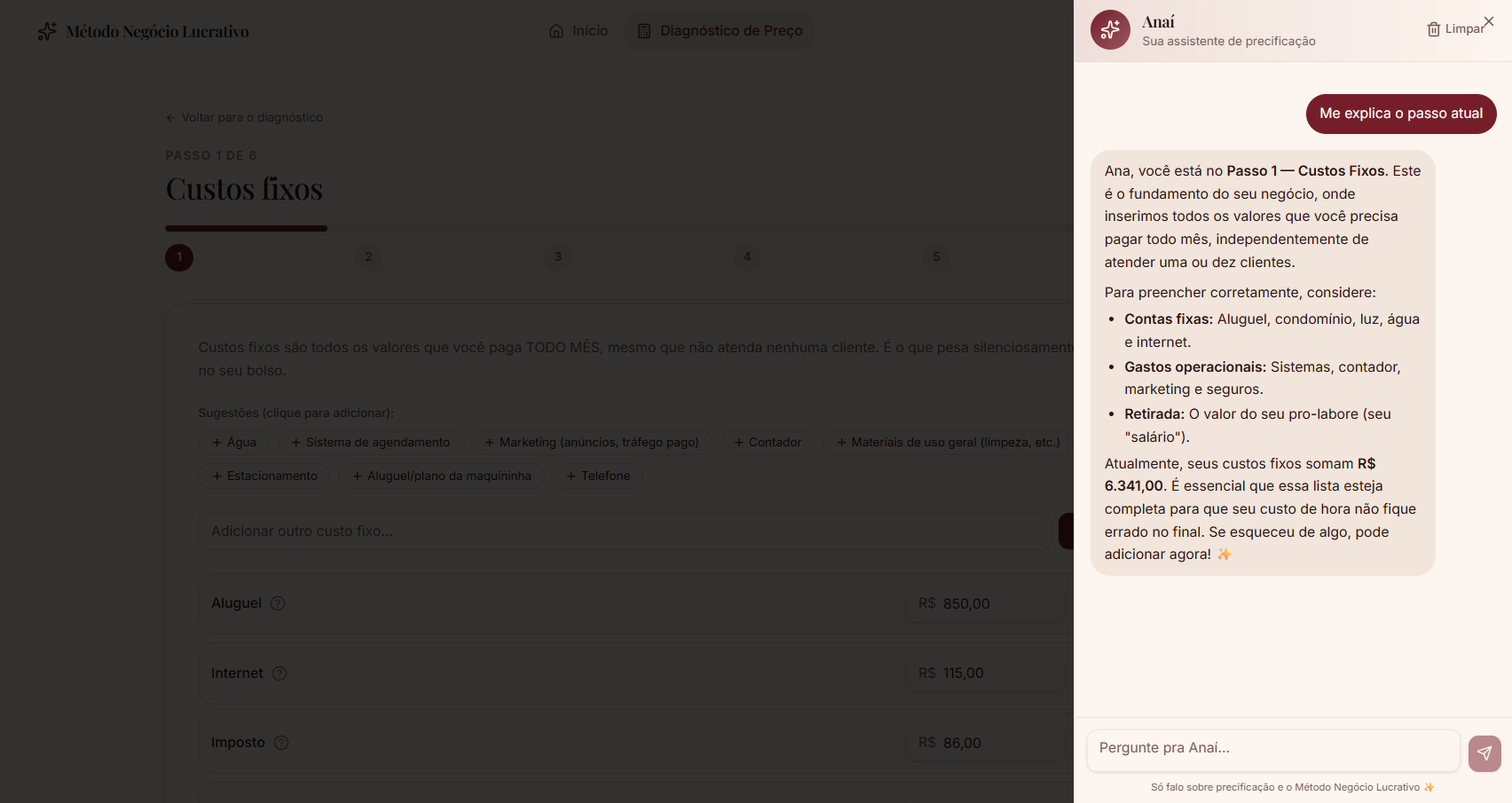 Chat da Anaí explicando o passo de custos fixos do diagnóstico